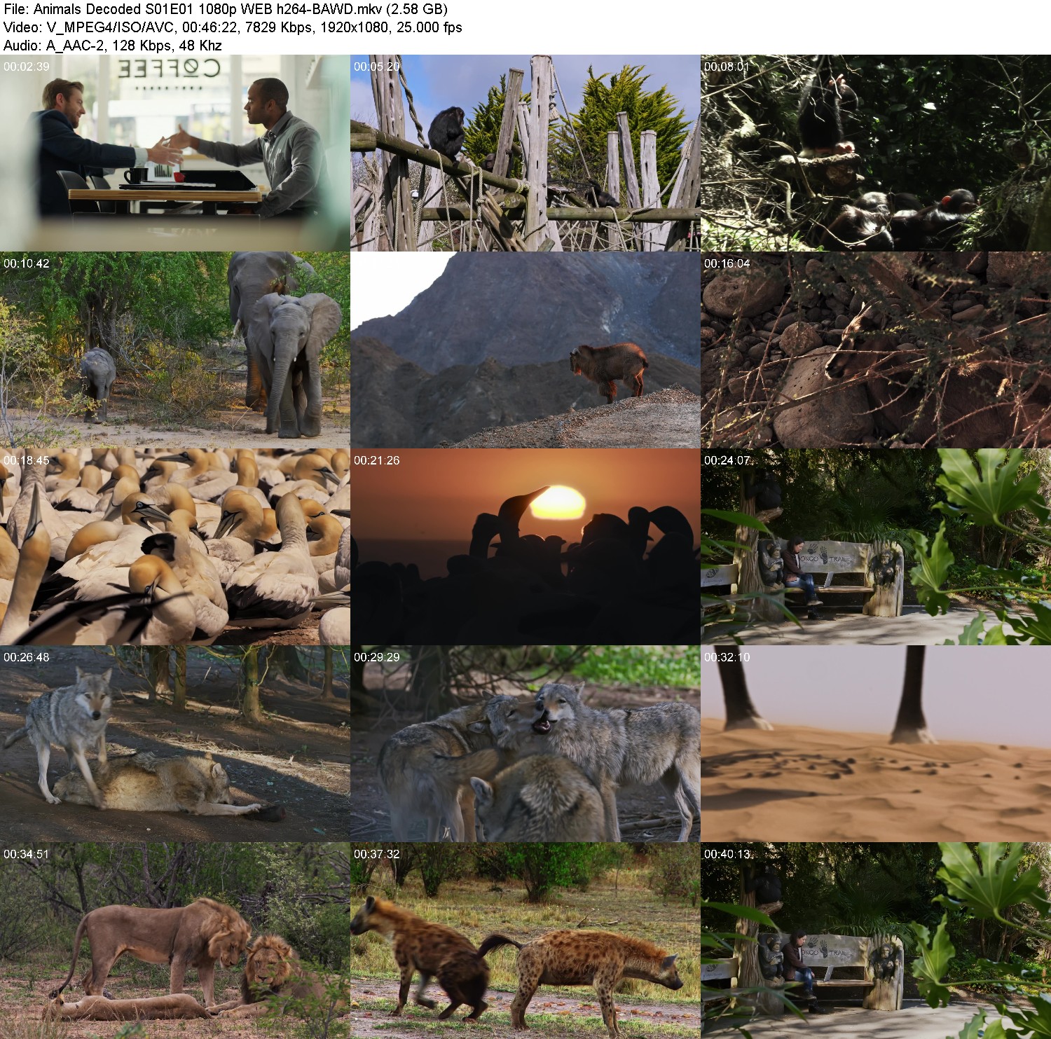 [Image: awps4fpy419b.jpg]