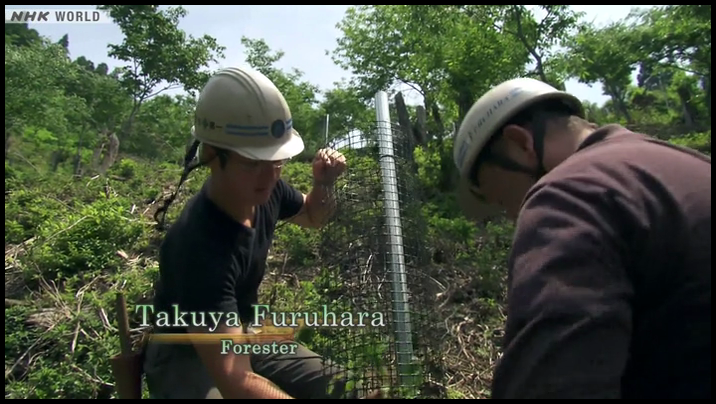 [Image: xml09mdc00xs.png]