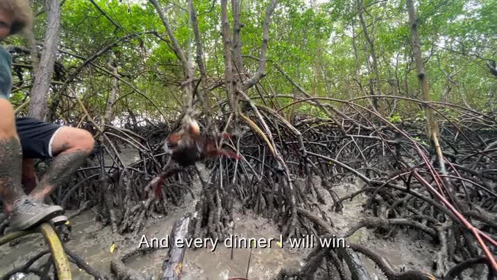 [Image: ud059riper3w.jpg]