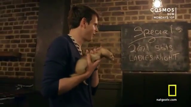 [Image: p0yf09k6pzlg.png]