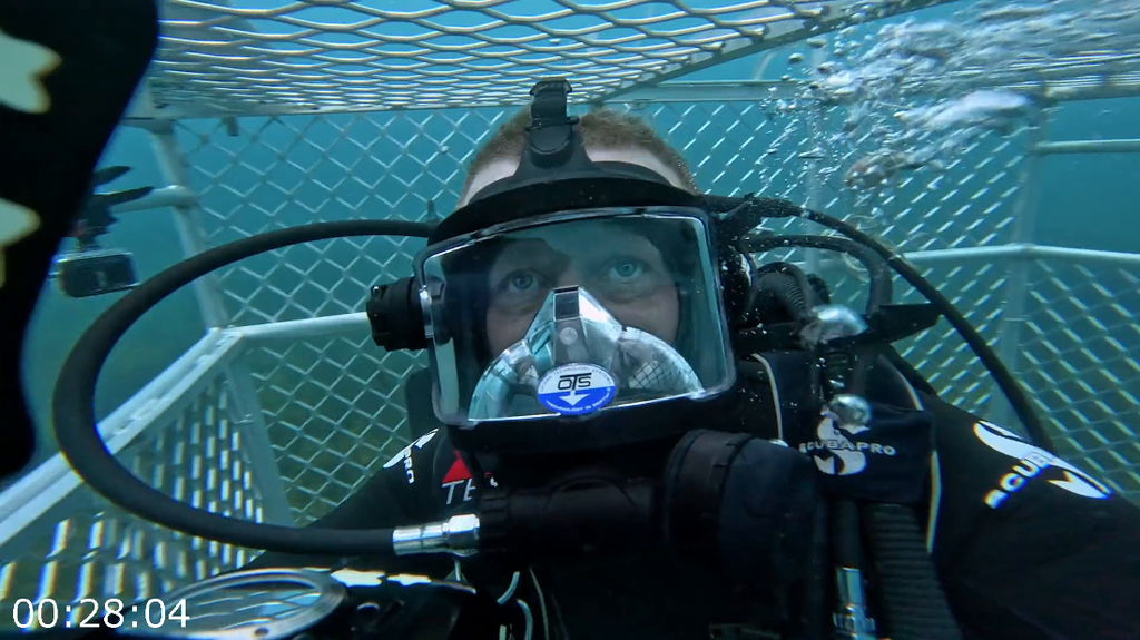 [Image: tp1ew5rq5xa6.png]