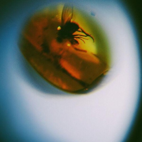 April-VISTA-Traditional-Noise-24BIT-WEB-