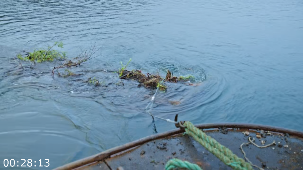 [Image: zlh06ub31ugf.png]