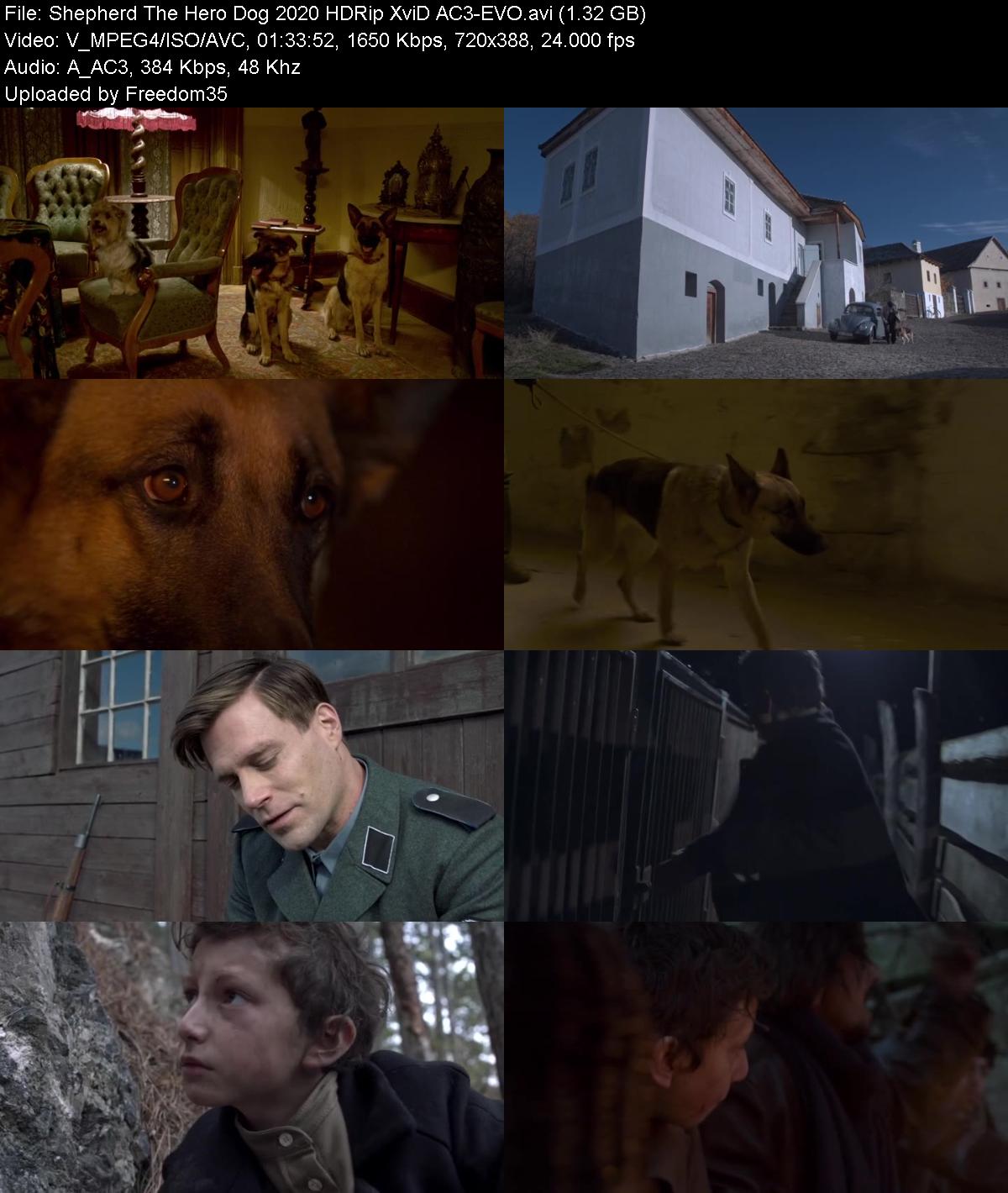 Shepherd-The-Hero-Dog-2020-HDRip-Xvi-D-A