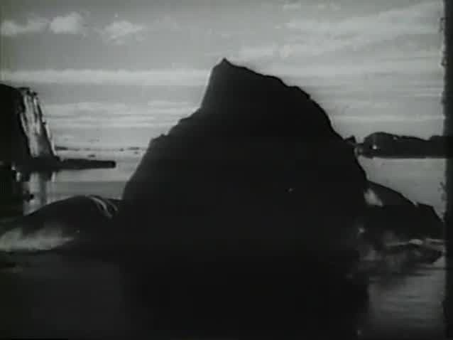 [Image: se58bznj2bq9.jpg]