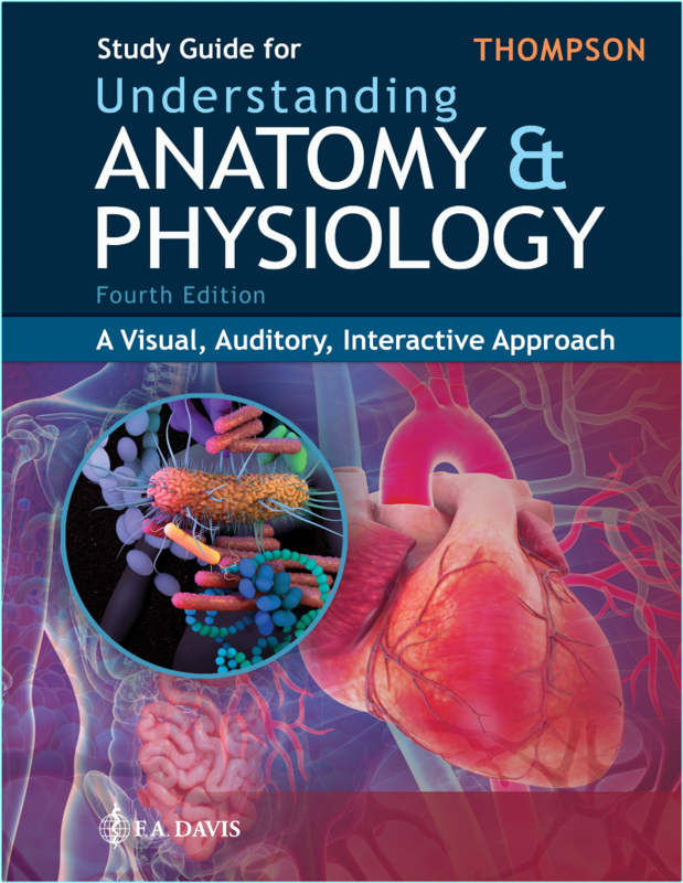 Understanding Anatomy And Physiology Interactive Approach 4ed (2024) (Gale Sloan Thompson) Understanding Anatomy And Physiology Interactive Approach 4ed (2024) (Gale Sloan Thompson)