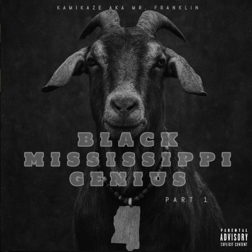 Kamikaze-aka-Mr-Franklin-Black-Mississip