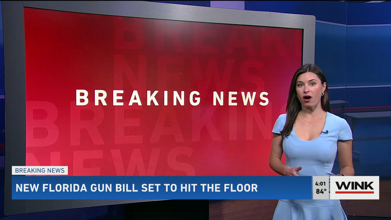 01.31 - 20.00.00 - WINK News at 3pm  ᴺᵉʷ..ts_snapshot_01.07.41.822