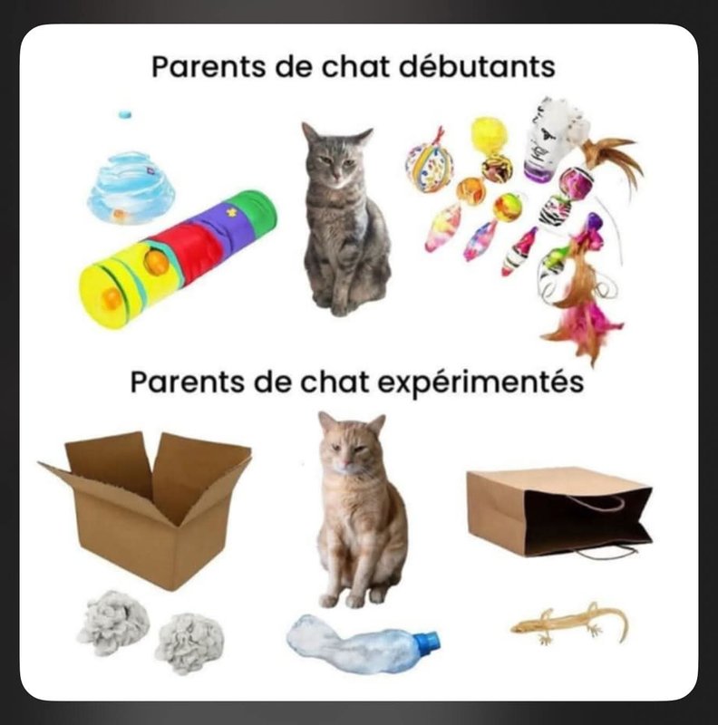 [Image: chat-13.jpg]