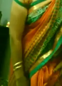 [Image: removepantyundersari.webp]