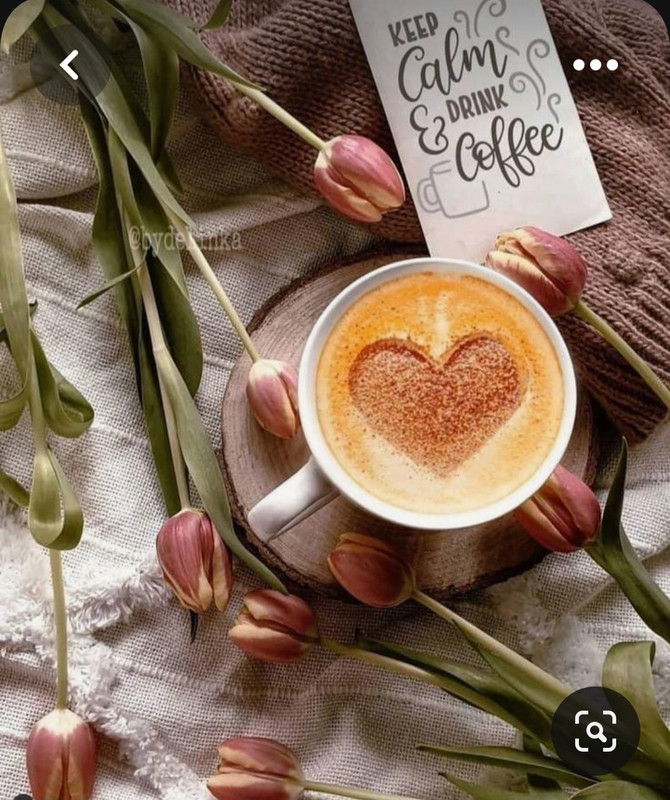 Screenshot_20230517_002805_Pinterest