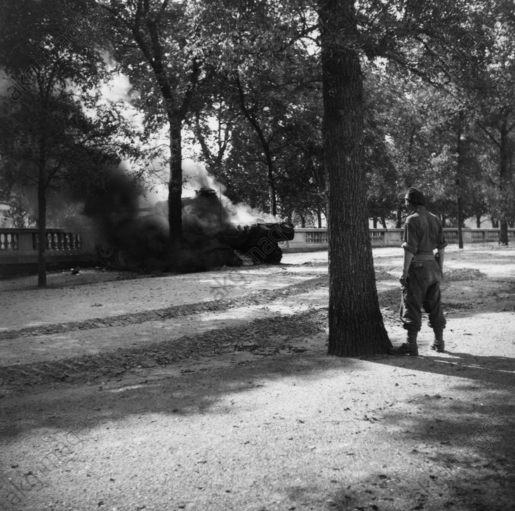 char blindé allemand brûlant dans le jardin des 