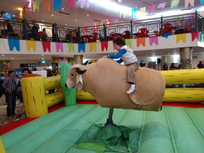 Touro Mecânico Luxo - Foto 1