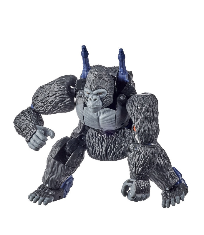 TF-Kingdom-Official-Pics-038