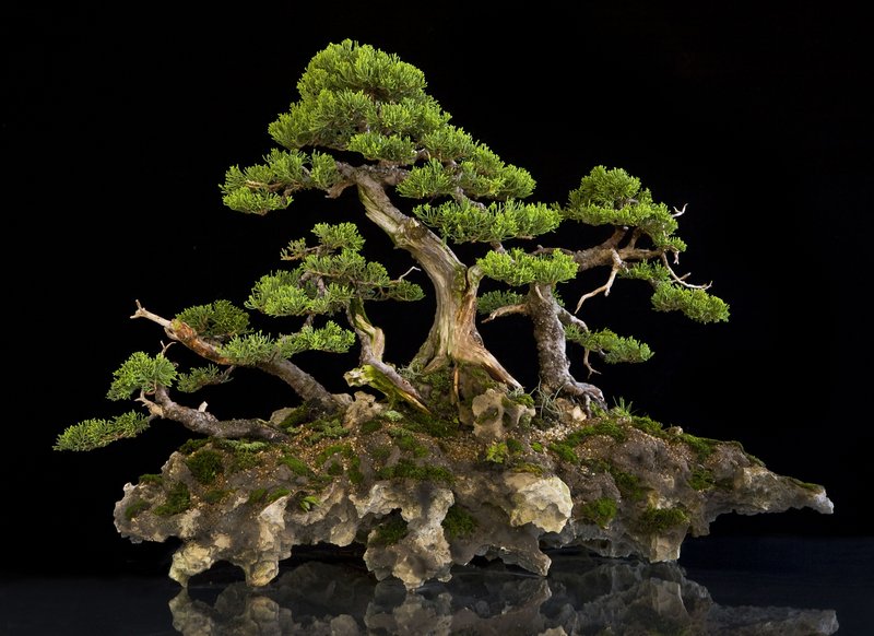 570359f0f7929cd9263e47e47ea5c63c