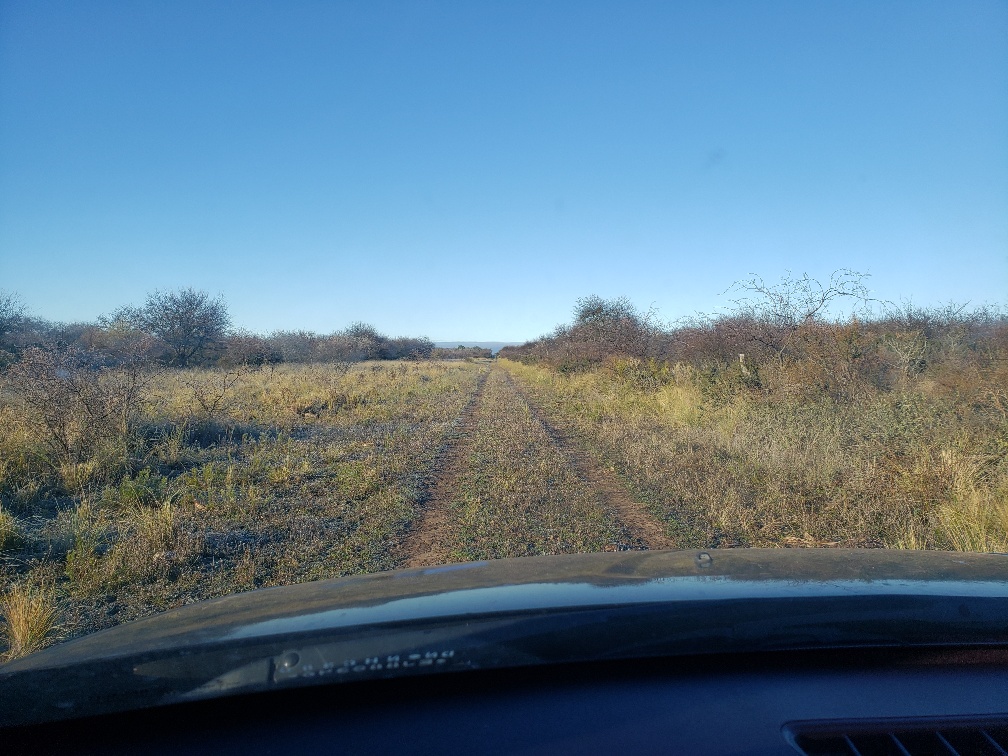 20190615_094850_resized