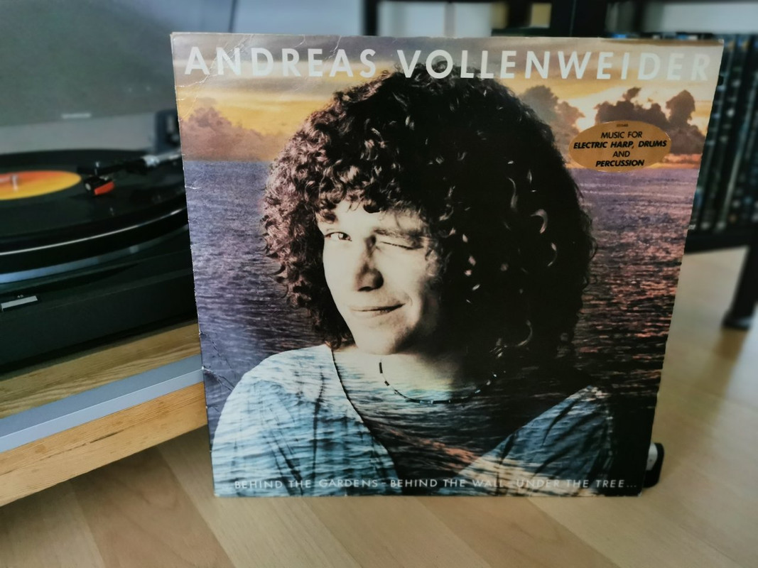 Andreas Vollenweider (1981)