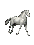 caballo