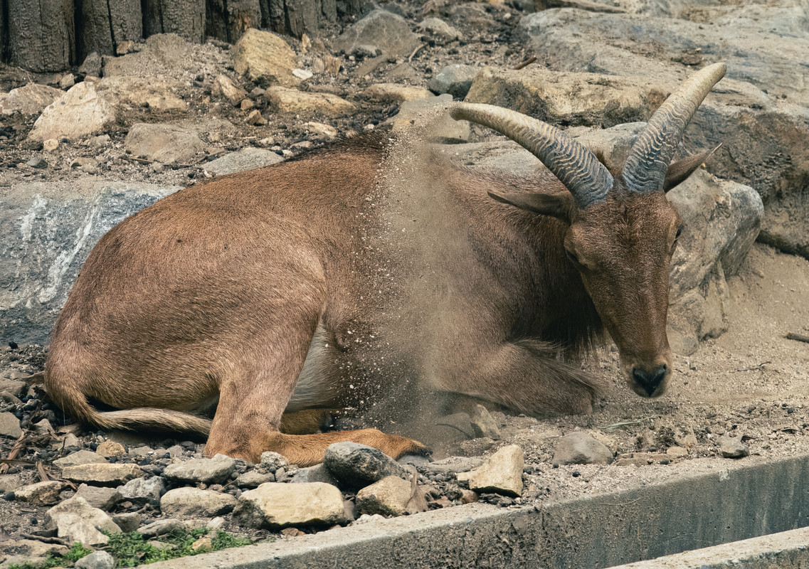 korea2024LRexport-48
