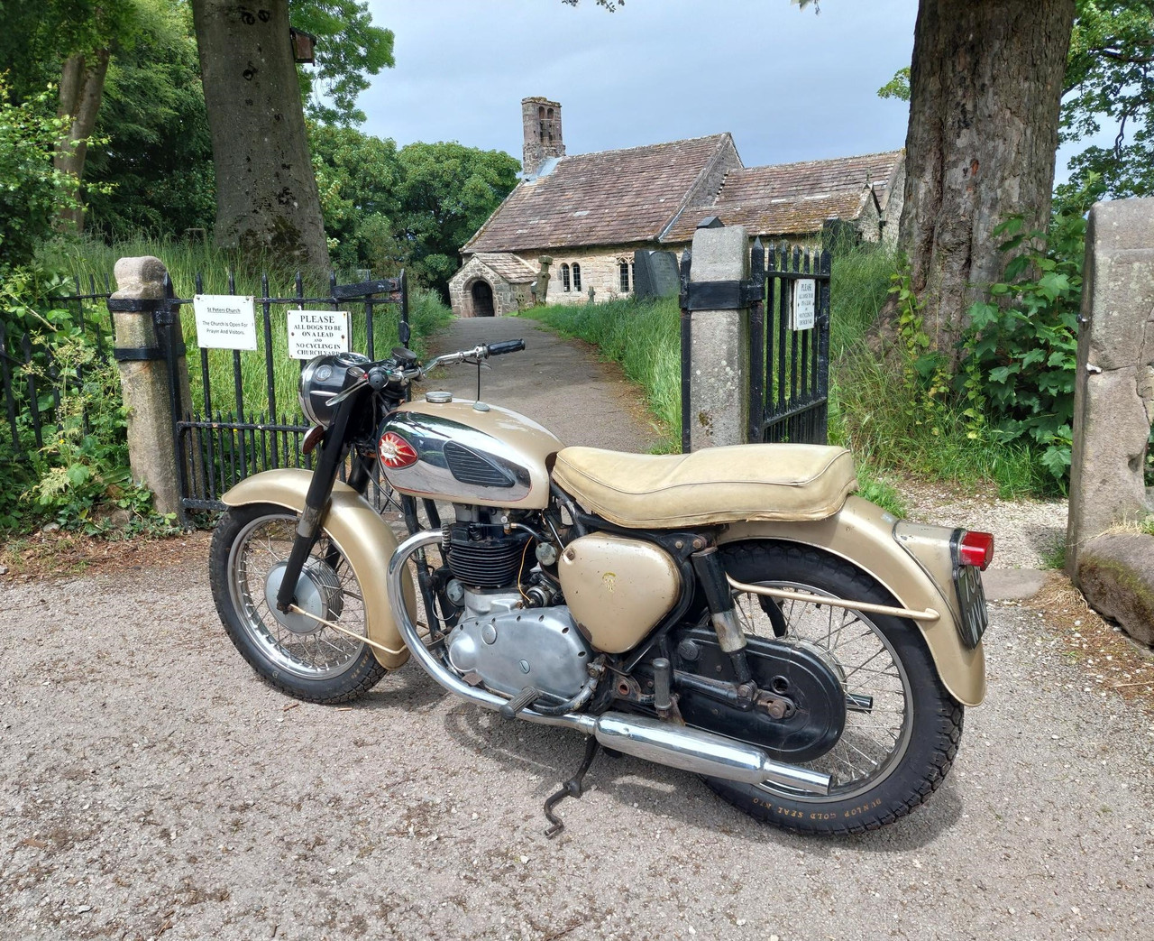 This didn't 'follow me home'. I bought it home.