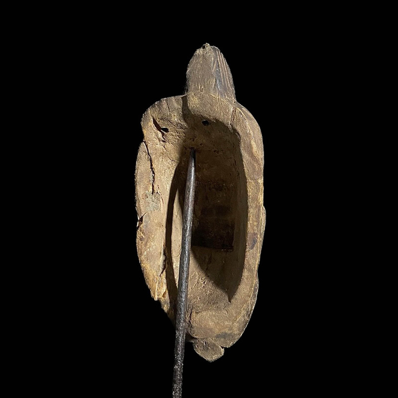 large image 12