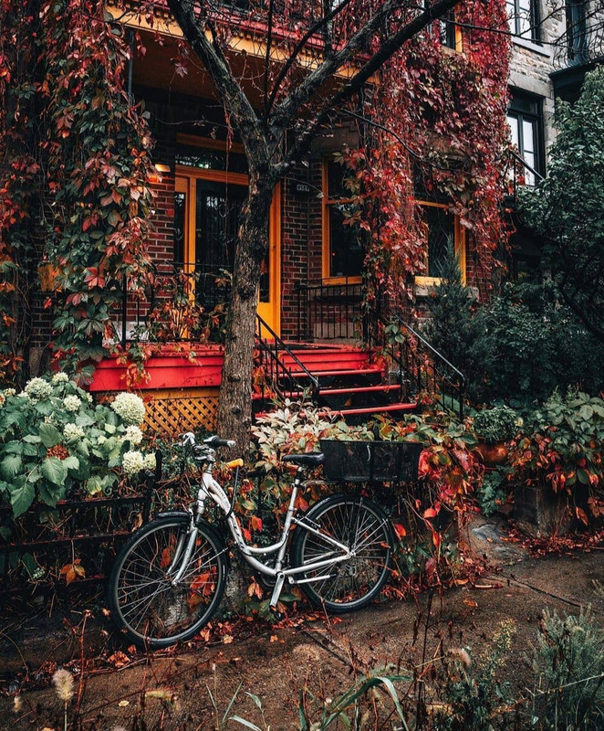 Screenshot_20231207_154644_Instagram