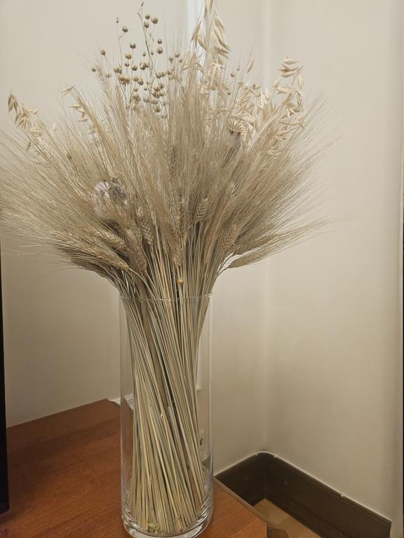 [Image: 20260517-200850.jpg]
