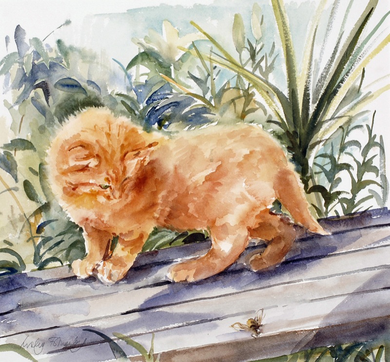 KITTEN-AND-A-BEE-1-C20342-1