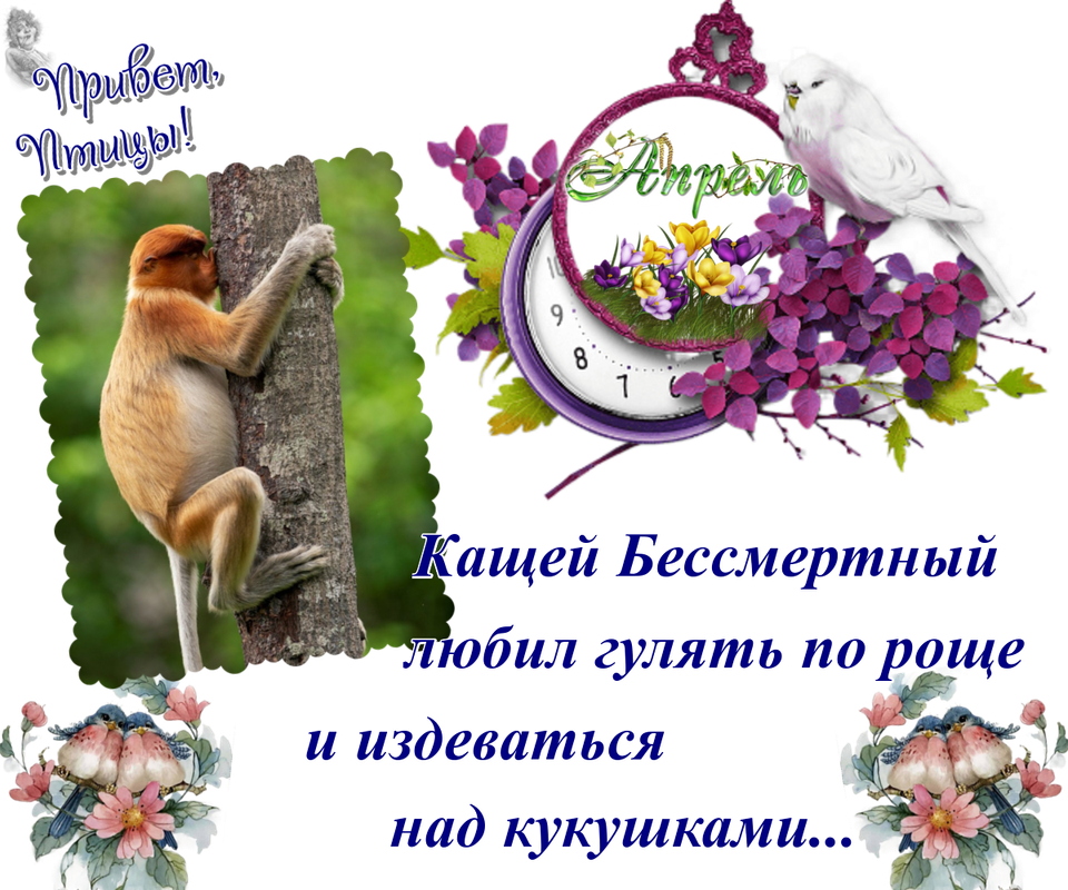 https://i.postimg.cc/Jh1fpXYg/21-04.png