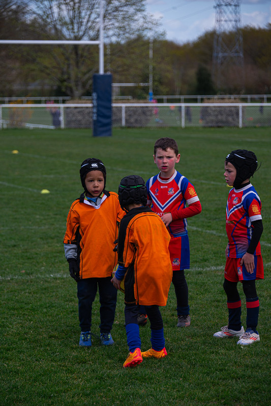 tournoi-de-latlantique-2026-adonis-griffon-133-55181546869-l