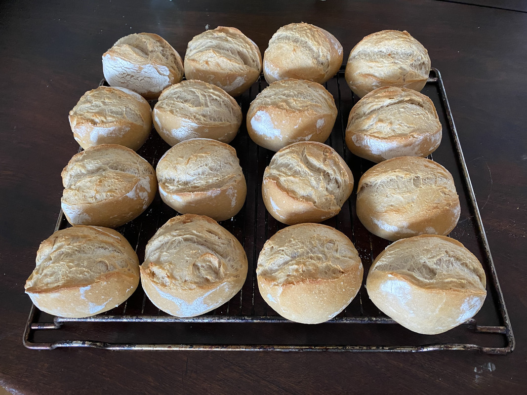 83746509-1925-4CEC-9060-7E6A7ADEF081