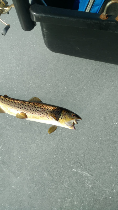 IMG_20180213_110443115