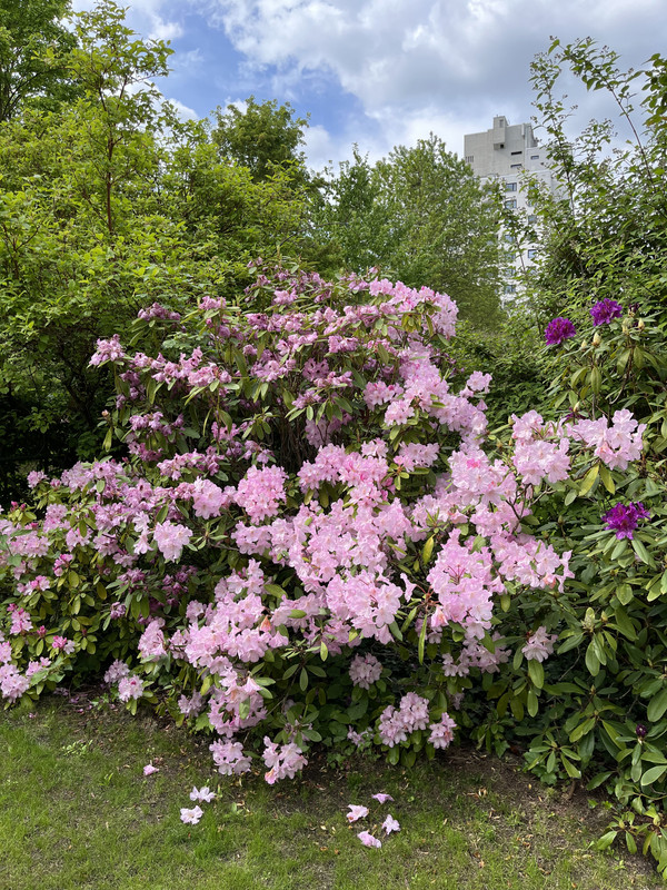 41F6F499-4146-4722-8AF9-BD8AF651FDD8