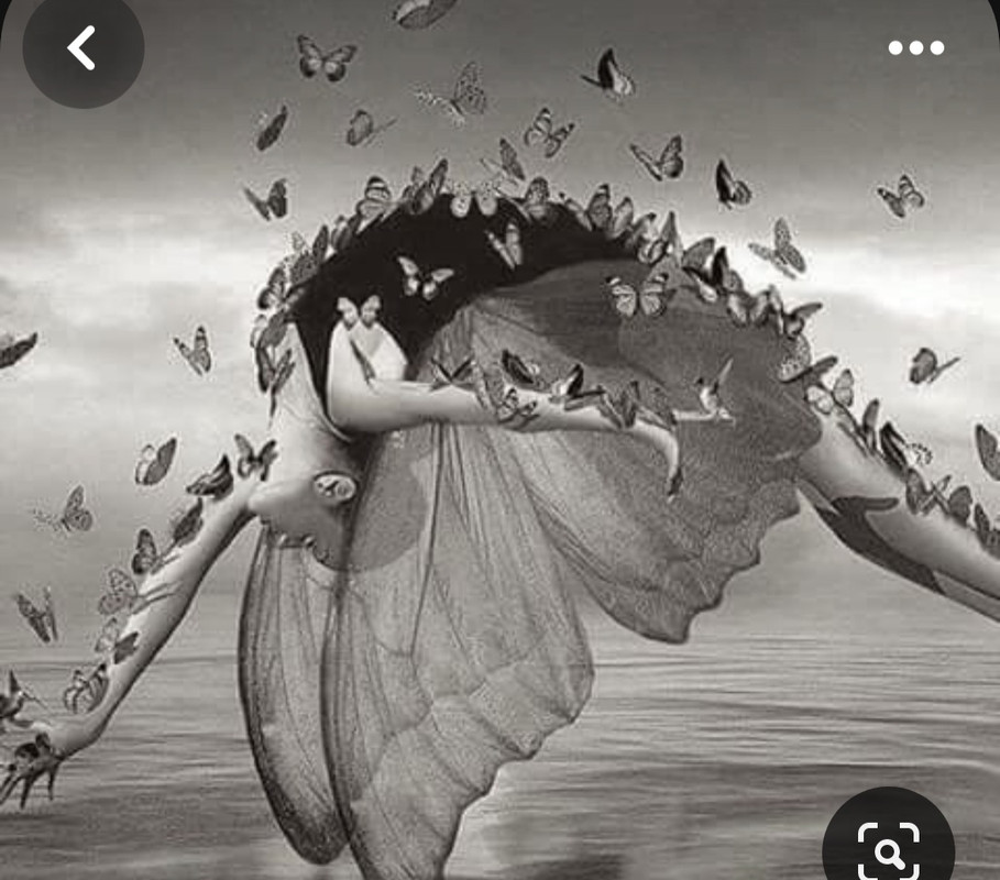 Screenshot_20240122_212337_Pinterest