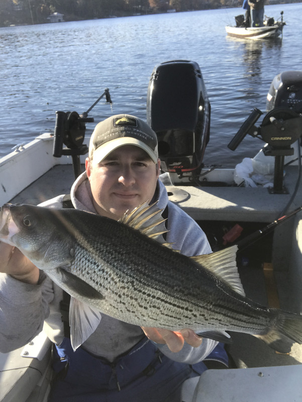 295D2DC9-C00E-471F-BF04-E54F0D6BE801