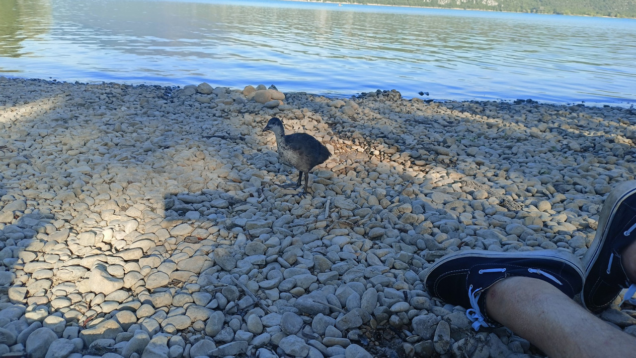 IMG20250804184336 (Large)