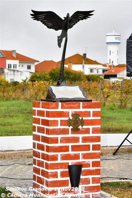 dsc-4085-large-1-1024-2500