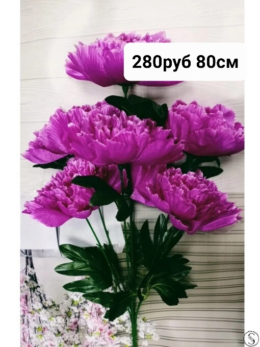 https://i.postimg.cc/Jh2z3vhW/IMG-20230221-232920.jpg