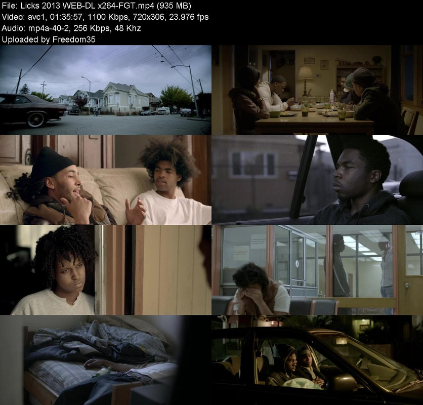 Licks-2013-WEB-DL-x264-FGT.jpg