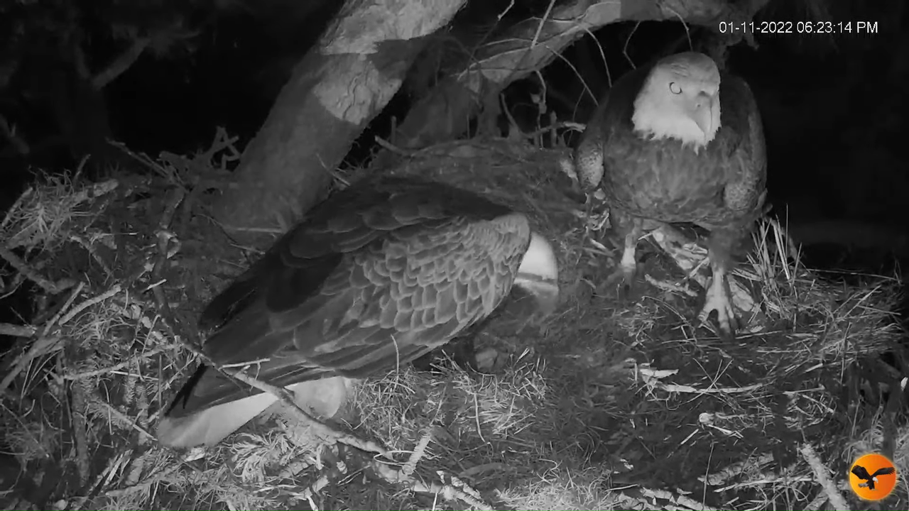 EC 4K Overhead Cam 12-37-3 screenshot