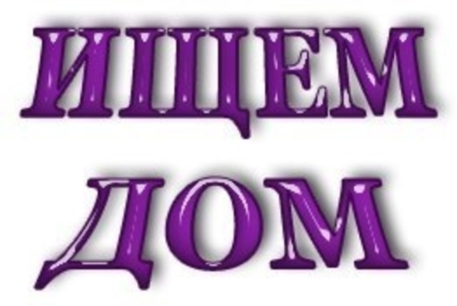 Дом репост. Нужен дом собаке. Репост картинка. Срочно собака ищет дом. Перепост нужен дом.