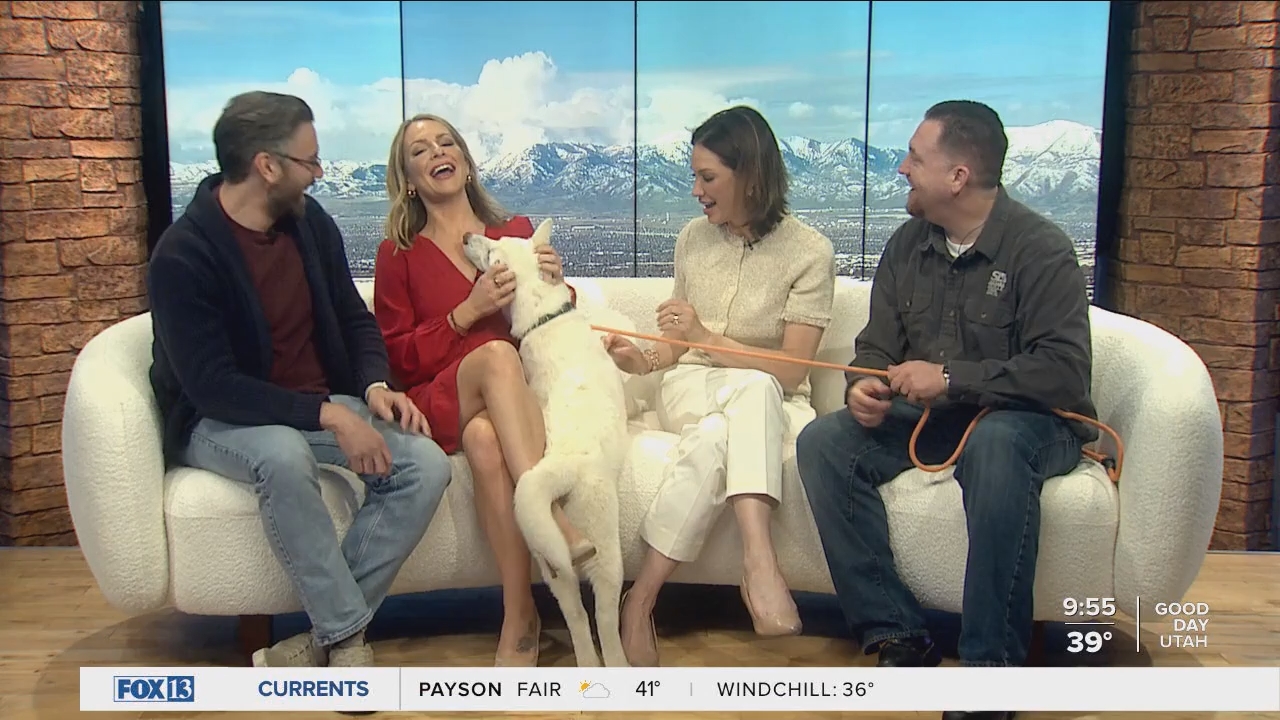 04.04 - 16.00.00 - FOX13 News  Good Day Utah 9AM  ᴺᵉʷ. Utah news, wea....ts_snapshot_00.56.57.824