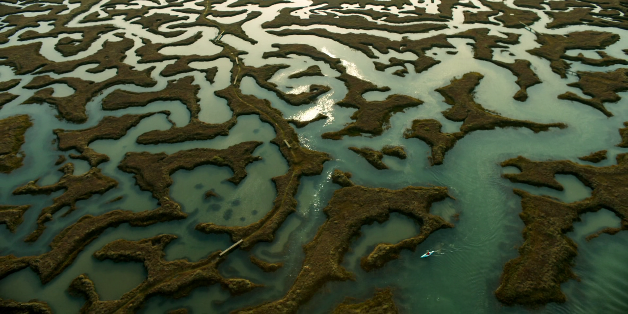 Liar (2017) S01-02 (1080p AMZN Webrip x265 10bit EAC3 2.0 - DNU) [TAoE]