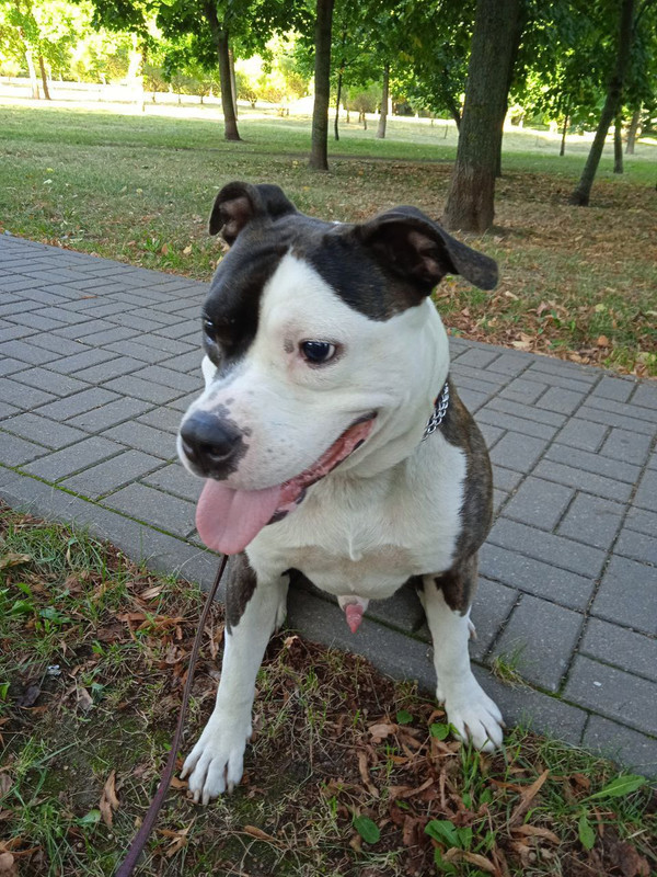 15285189-8542-46D9-B3A6-57B0109C4FE1