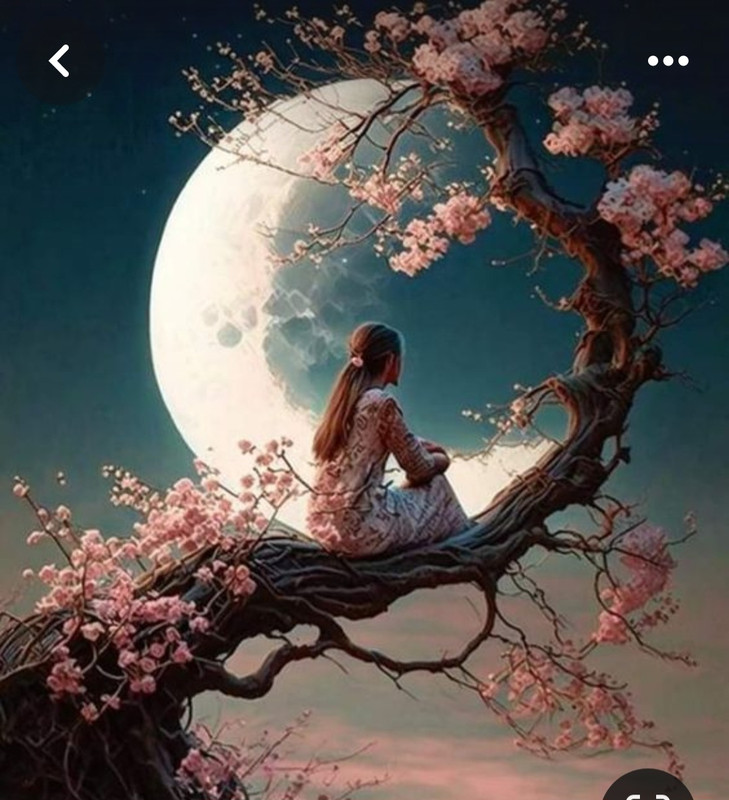 Screenshot_20240410_235635_Pinterest