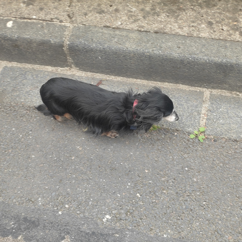 [Image: IMG-20250720-181221.jpg]