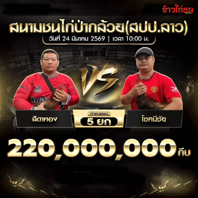 สีดาทอง พบ โชคมีชัย โปรแกรมไก่ชน วันที่ 24 มีนาคม 2569