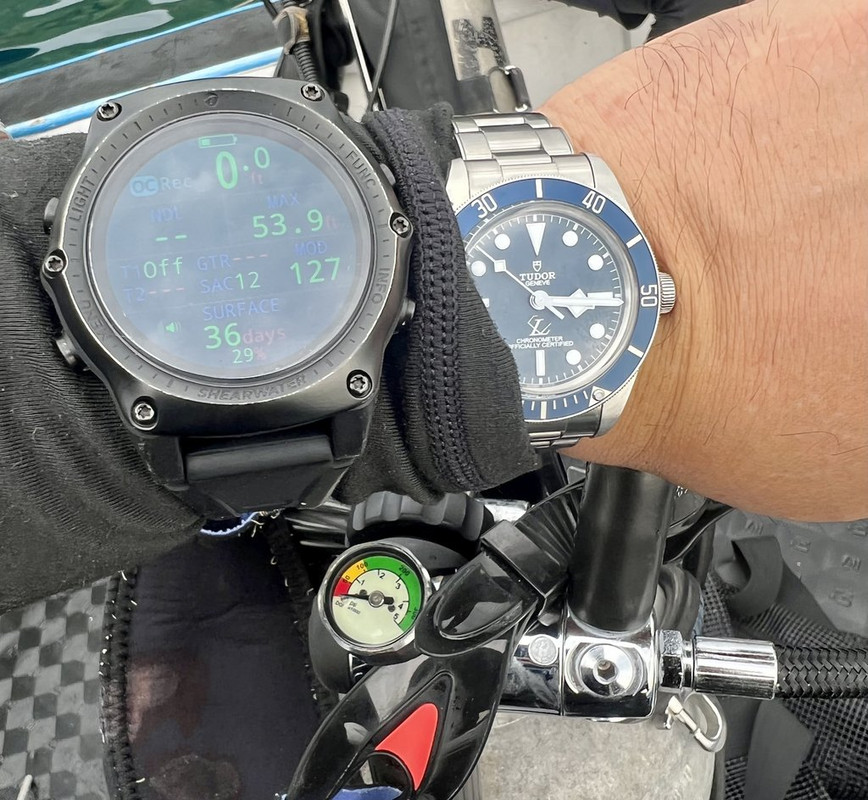 5292F10C-F955-4F9A-A9BA-208249ECDA5E