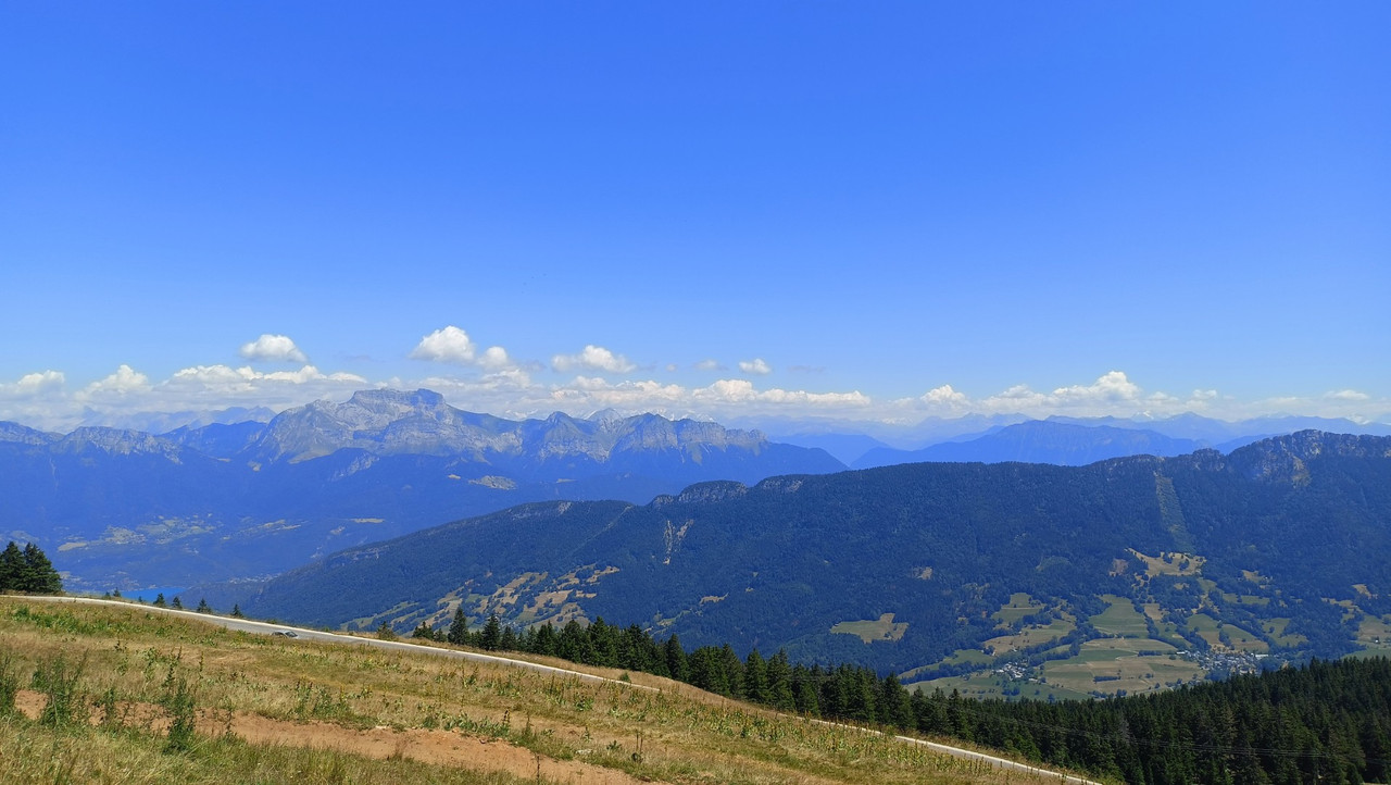 IMG20250711141202 (Large)