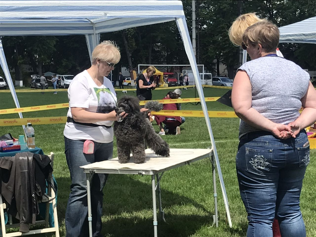 IMG-8f3631d1d4e319f0baa08c56a01b4884-V